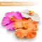 3 Pieces Hawaiian Flower Hair Clips Plumeria Hibiscus Hair Clip 3.5 Inch